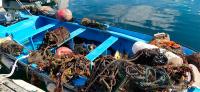 Campaña de limpieza de fondos marinos en Portonovo