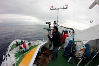 Un buque oceanográfico y ocho avionetas recorrerán simultáneamente las aguas atlánticas de toda Europa para estimar la abundancia de cetáceos