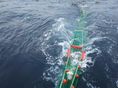Un equipo del IEO estudia mejoras en la selectividad de la pesca de arrastre 