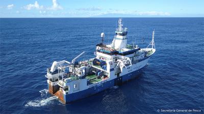 IEO e IPMA estudian la distribución y abundancia de sardina en aguas atlánticas de la península Ibérica