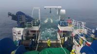 Investigadores gallegos y portugueses estudiarán los recursos pesqueros de Terranova y Flemish Cap