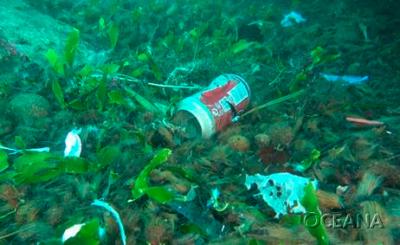  Oceana encuentra plásticos en todos los hábitats marinos analizados en su última expedición    
