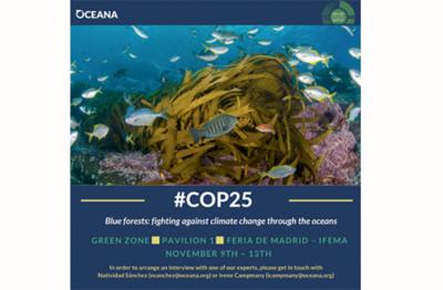Oceana reclama un plan de acción para la protección de los ‘bosques azules’ en la COP25