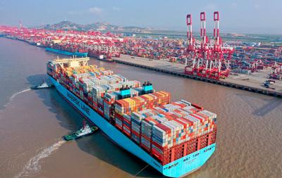  BIMCO revisa a la baja sus previsiones para el transporte marítimo en 2020 
