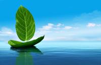  ICS propone un nuevo fondo verde para el uso y producción de ‘combustibles verdes’ 