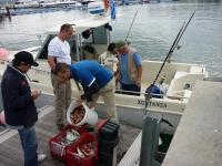 2º Concurso de Pesca en Embarcación Fondeada Club Náutico de Sada,