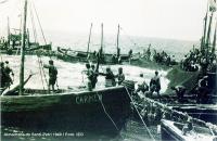 La pesca intensiva de juveniles fue la principal causa del descenso del atún rojo en los años 60
