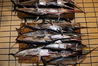 Oceana pide más hechos y menos palabras para el pez espada del Mediterráneo