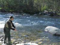 La temporada de pesca fluvial arranca en Galicia arranca con ríos llenos y revueltos