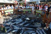 Cuarenta embarcaciones se darán cita en el X Campeonato de España de Pesca de Altura organizado por el RCN de Dénia 