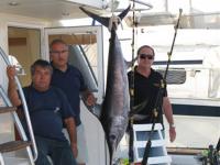 El RCN Dénia acoge los días 19 y 26 de octubre el XX Campeonato de Pesca Curricán Bajura
