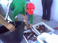 “SAUDE” gana con total autoridad el concurso de pesca desde embarcación del CN Deportivo de Riveira