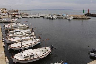 El Club Marítimo Molinar se ofrece a compartir el puerto con la Federación Balear de Vela