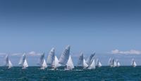 Récord de participación en el Mirpuri Foundation Sailing Trophy 2023 disputado en Cascais