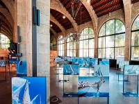 La regata Puig Vela Clàssica Barcelona presenta en el Museu Marítim la exposición ‘Con la fuerza del viento’