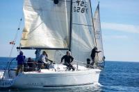 Vikingo y Ajú II se anotan la tercera prueba del Trofeo Bahía de Málaga